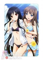 Accel World 25